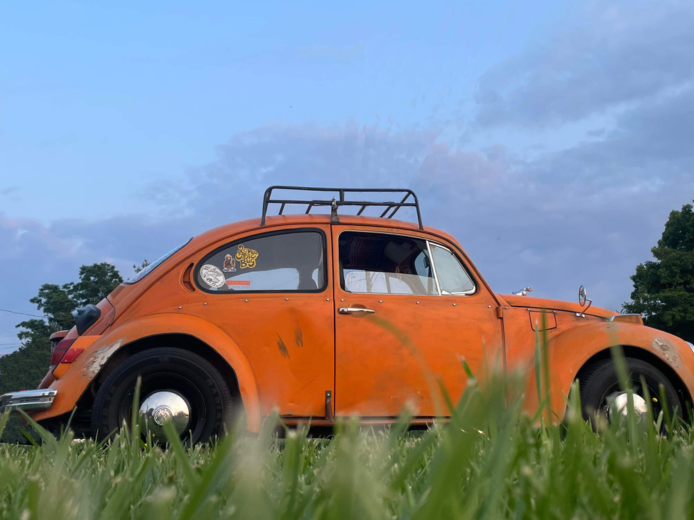 Orange VW rat bug picture