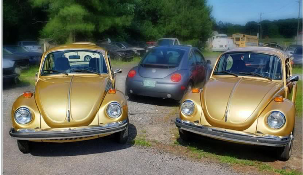 Two Sun Bugs and a new Beetle make friends