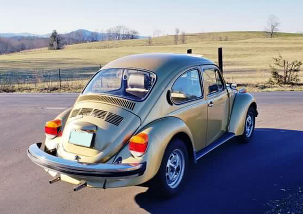 La Grande Bug or Sun Bug?