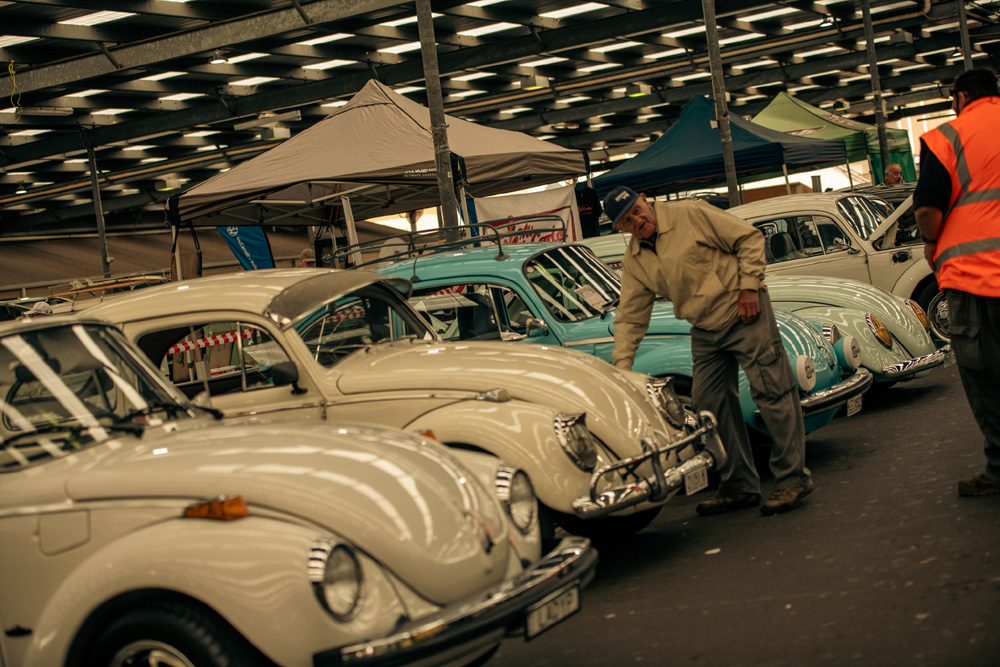 VW Beetles all in a row look so good