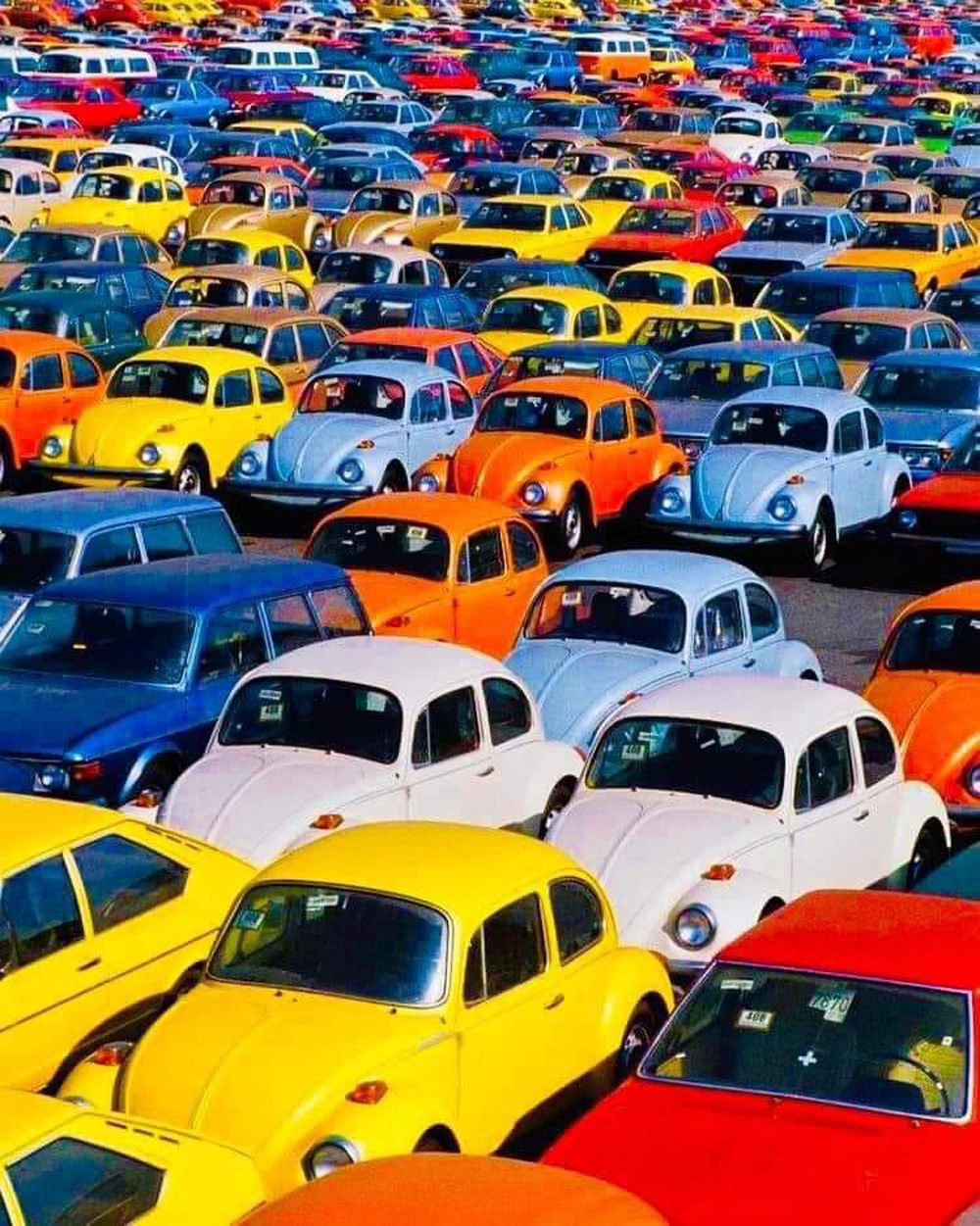 VWs at port in NYC 1974
